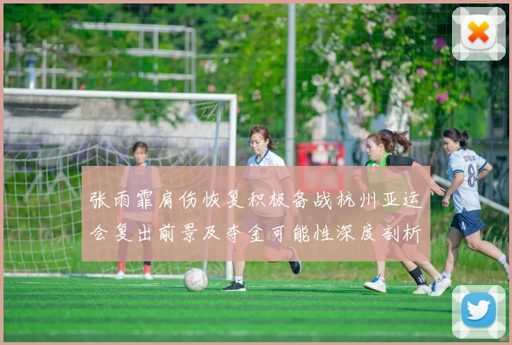 张雨霏肩伤恢复积极备战杭州亚运会复出前景及夺金可能性深度剖析