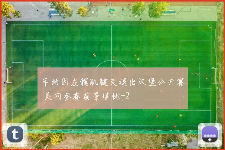 辛纳因左髋肌腱炎退出汉堡公开赛 美网参赛前景堪忧