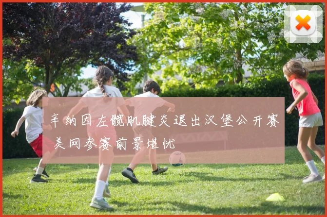 辛纳因左髋肌腱炎退出汉堡公开赛 美网参赛前景堪忧